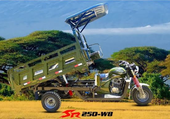 SINORAY BAJAJI Cc 250